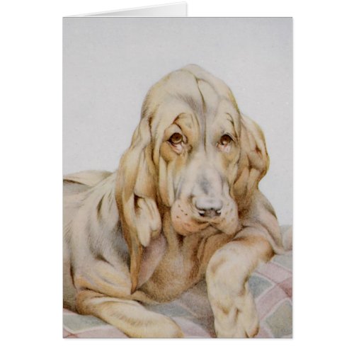 Vintage Cute Bloodhounds Puppy Dogs by EJ Detmold