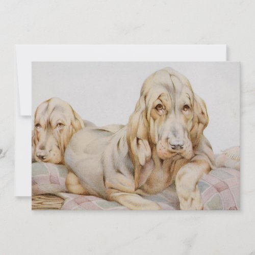 Vintage Cute Bloodhounds Puppy Dogs by EJ Detmold