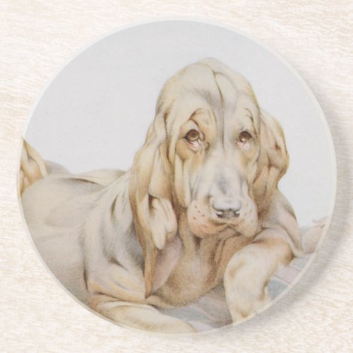 Vintage Cute Bloodhounds Puppy Dogs by EJ Detmold Drink Coaster