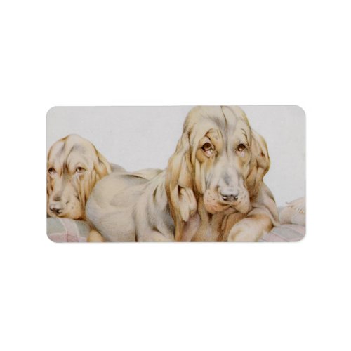 Vintage Cute Bloodhounds Puppy Dogs by EJ Detmold Label