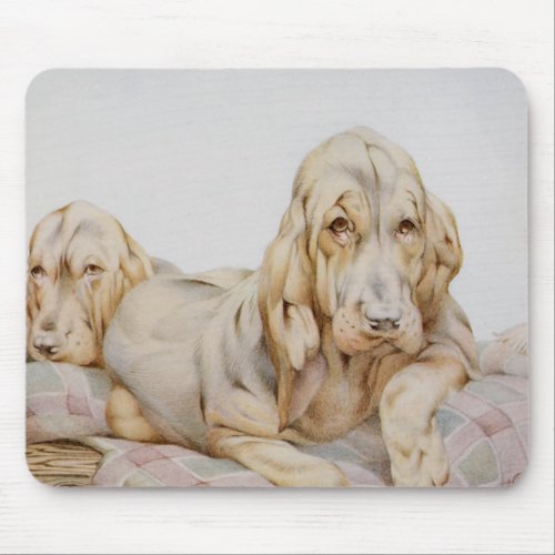 Vintage Cute Bloodhounds Puppy Dogs by EJ Detmold Mouse Pad