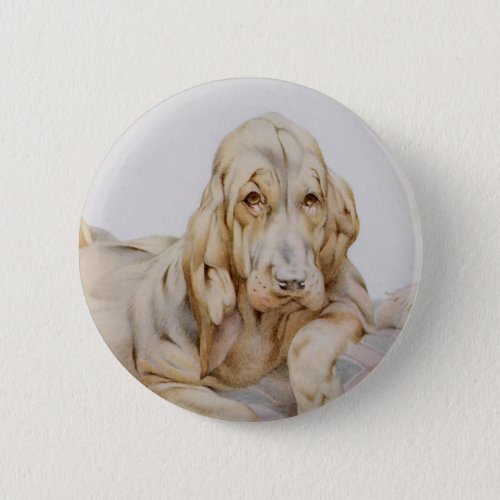 Vintage Cute Bloodhounds Puppy Dogs by EJ Detmold Pinback Button