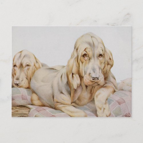 Vintage Cute Bloodhounds Puppy Dogs by EJ Detmold Postcard