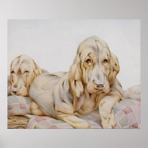 Vintage Cute Bloodhounds Puppy Dogs by EJ Detmold Poster