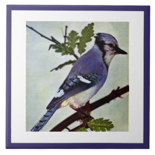 Vintage Cute Blue Colourful Bird and Foliage Ceramic Tile