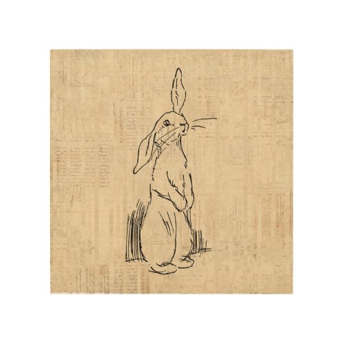 Vintage Cute Bunny Rabbit Art Script Background