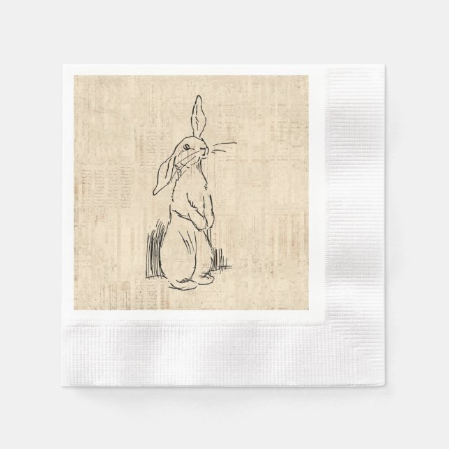 Vintage Cute Bunny Rabbit Art Script Background Napkins (Front)