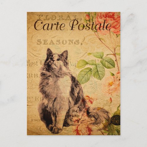 Vintage Cute Cat Floral Flowers French Postcard