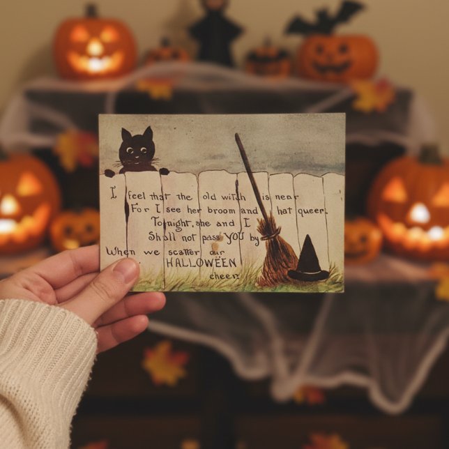Vintage Cute Cat Peeking Halloween Postcard (Creator Uploaded)