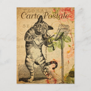 Vintage Cute Cat Playing Fiddle Violin French Postcard