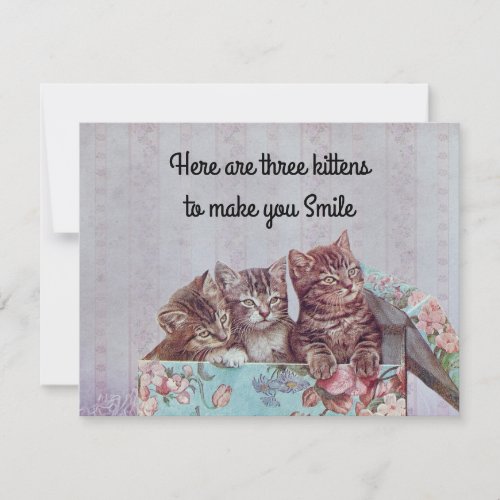 Vintage Cute Kitten Get Well Card
