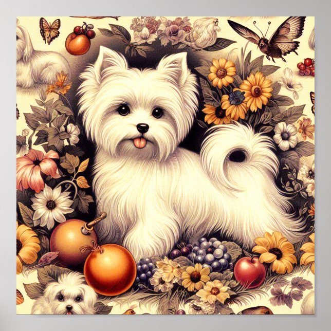 Vintage Cute Maltese Poster (Front)