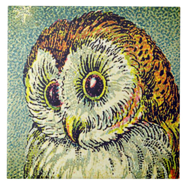 Vintage cute owl illustration ceramic tile (Front)
