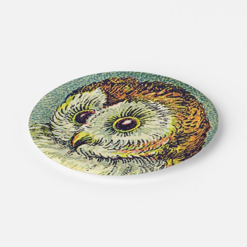 Vintage cute owl illustration paper plates