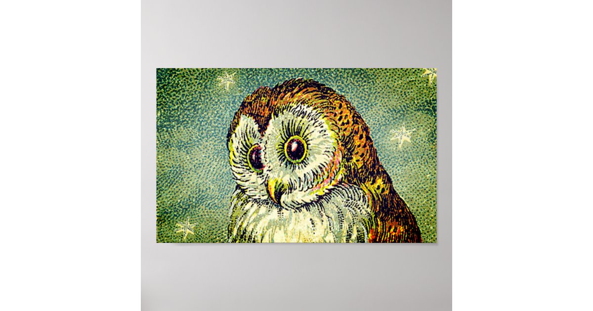 Vintage cute owl illustration poster | Zazzle
