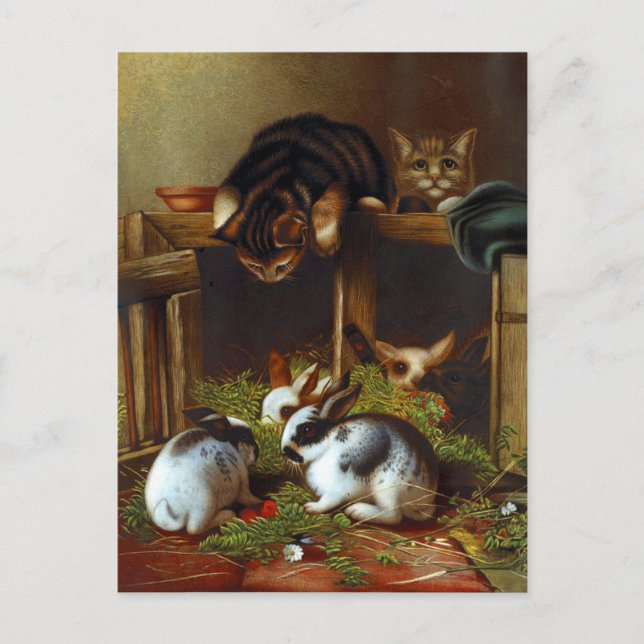 Vintage Cute Rabbits and Kittens Postcard (Front)
