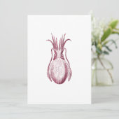 Vintage Cuttlefish Illustration Pattern (Standing Front)
