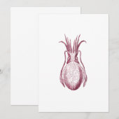 Vintage Cuttlefish Illustration Pattern (Front/Back)