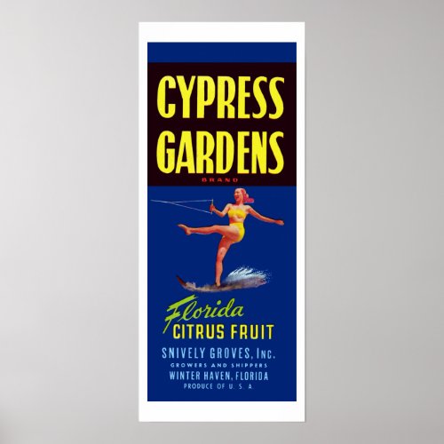 Vintage Cypress Gardens Florida Citrus Fruit Poste Poster