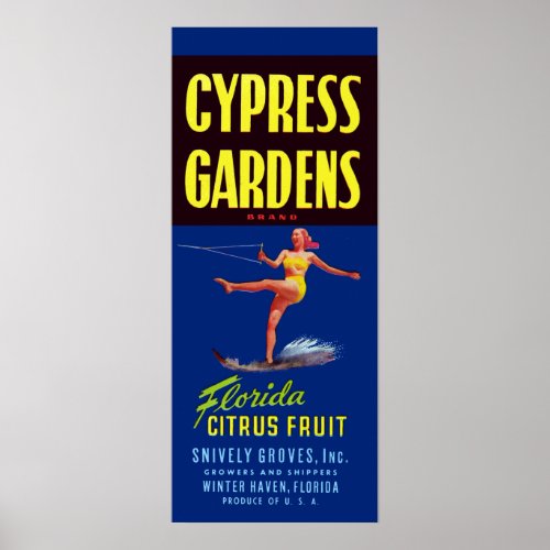 Vintage Cypress Gardens Florida Citrus Fruit Poster