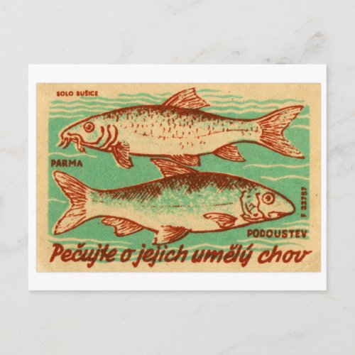 Vintage Czech Czechlovalkia Fish Match Box Label Postcard