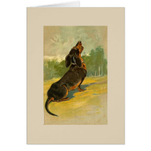 Vintage - Dachshund Howling, Cards