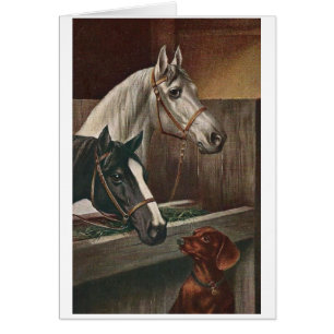 Vintage - Dachshund Visits Horses, Cards