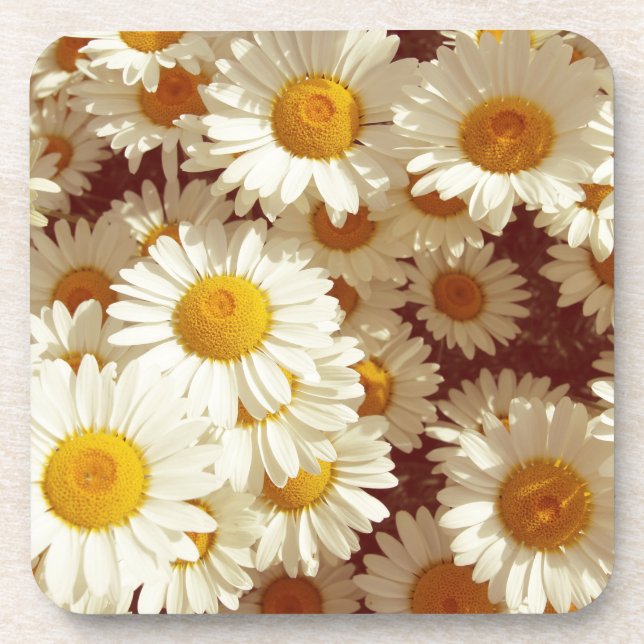 Vintage daisies beverage coaster (Front)