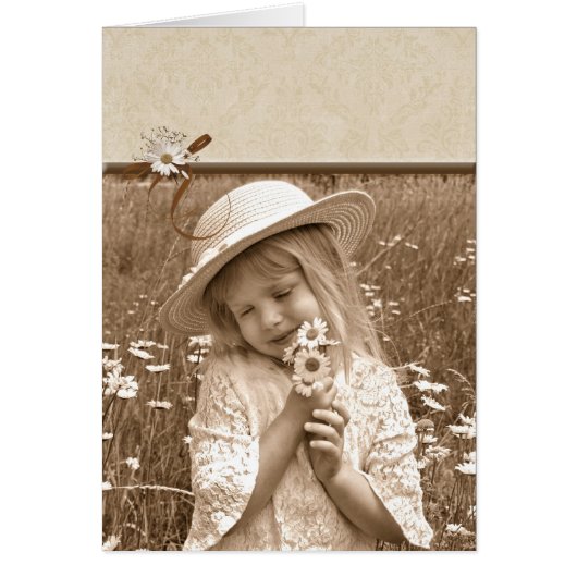 Vintage Daisies Cards (Front)