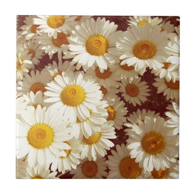 Vintage daisies ceramic tile (Front)