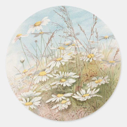 Vintage Daisies In A Field Easter Card Classic Round Sticker