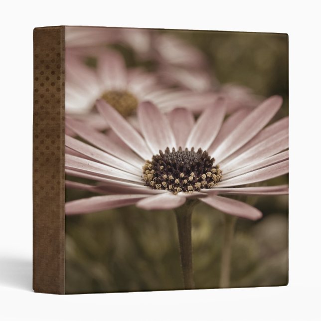 Vintage Daisy 3 Ring Binder (Front/Spine)
