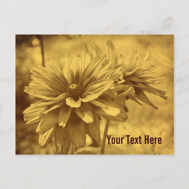 Vintage Daisy Flowers Customizable Postcard (Front)