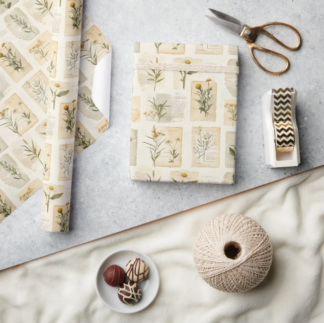 Vintage Daisy Herbarium Collage  Wrapping Paper (Crafts)