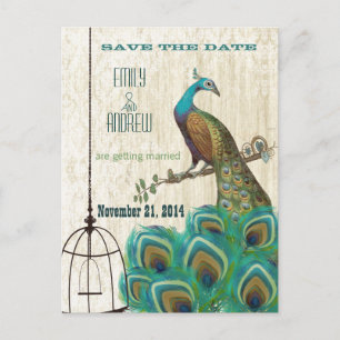 Vintage Damask Peacock Birdcage Save the Date Announcement Postcard