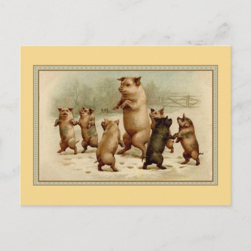 Vintage dancing pigs postcard