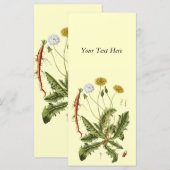 Vintage Dandelion Illustration (Front/Back)