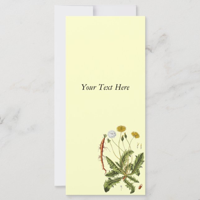 Vintage Dandelion Illustration (Front)