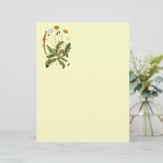 Vintage Dandelion Illustration (Standing Front)