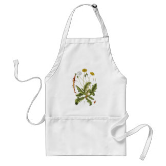 Vintage Dandelion Illustration Adult Apron