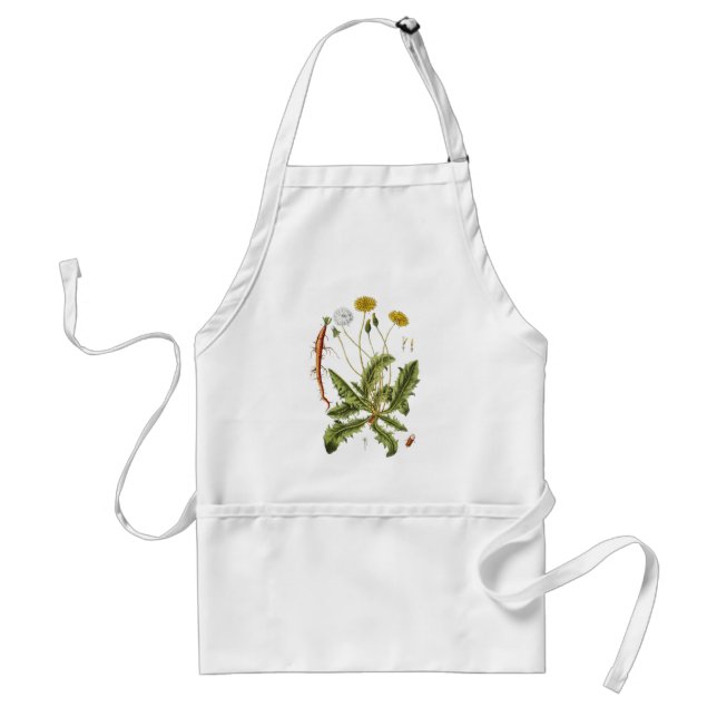 Vintage Dandelion Illustration Adult Apron (Front)