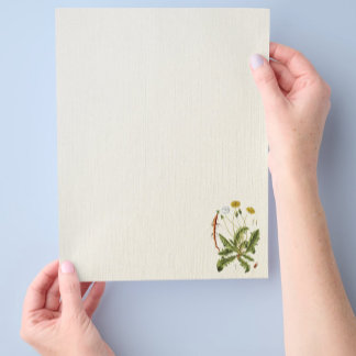 Vintage Dandelion Illustration Flyer