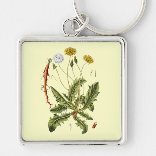 Vintage Dandelion Illustration Keychain (Front)