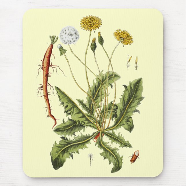 Vintage Dandelion Illustration Mouse Pad (Front)