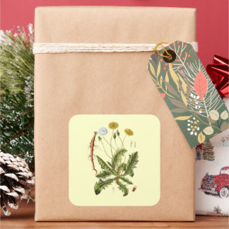 Vintage Dandelion Illustration Square Sticker