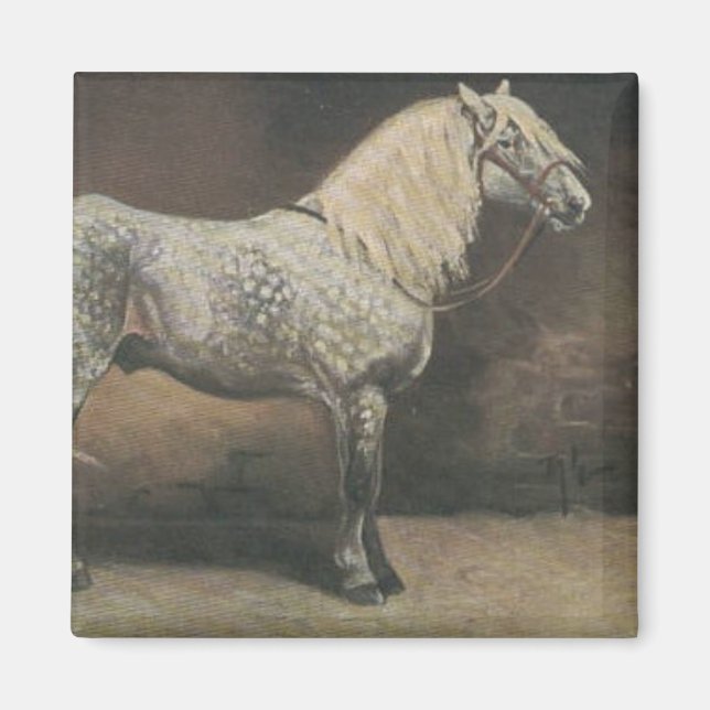 Vintage Dapple Grey Magnet (Front)