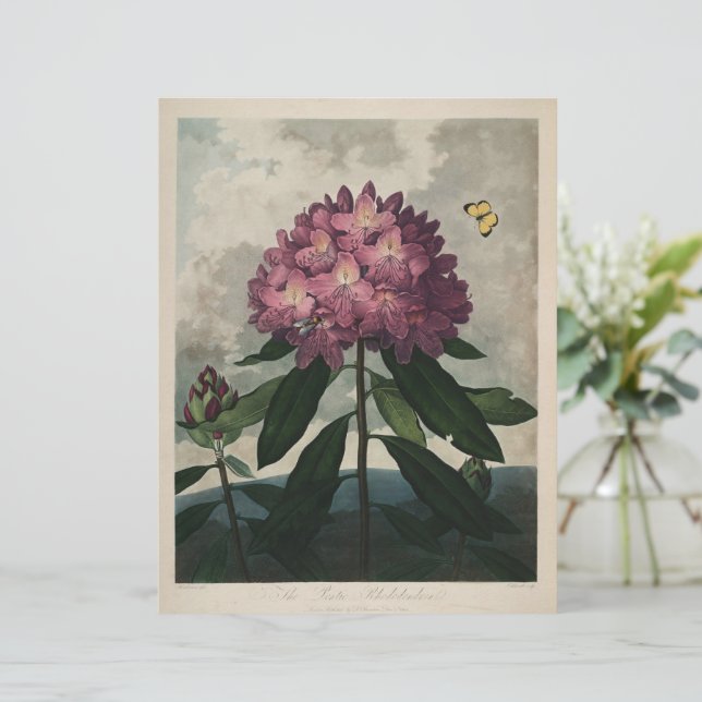 Vintage Dark Academia Botanical Print (Standing Front)