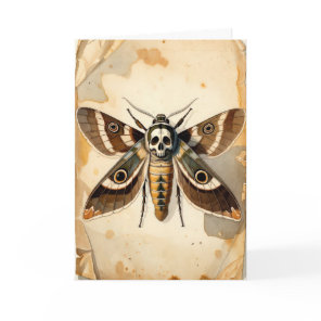Vintage Death's-head Hawkmoth Entomology Art Card