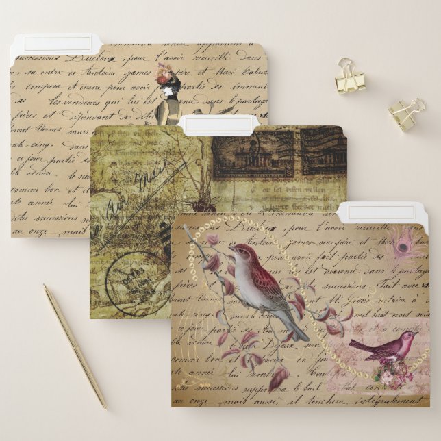 Vintage Decoupage Steampunk Victorian Scrapbook File Folder (Set)