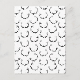 Vintage Deer Antlers Postcard
